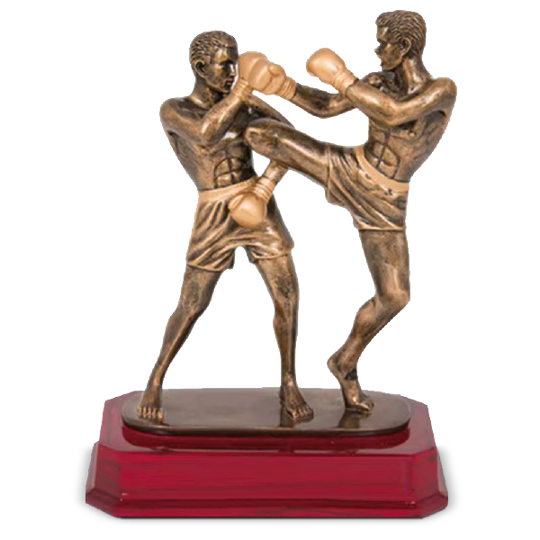 Kickboxing
