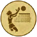 Volleyball 2