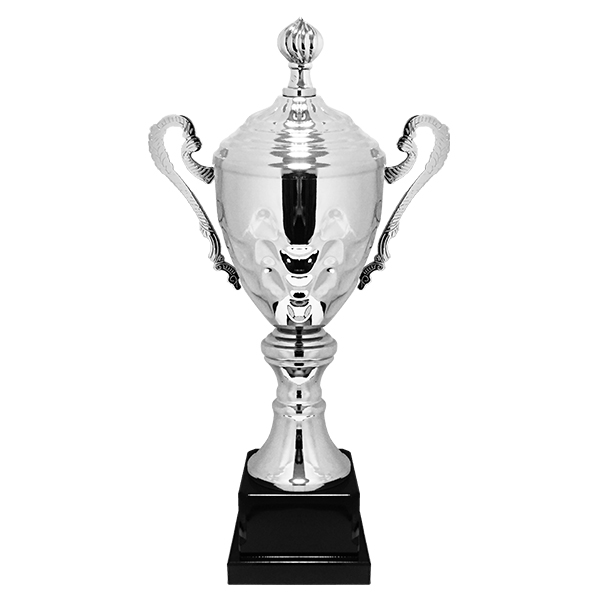 3055 S